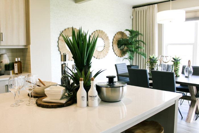 Trang trí nội thất với cây xanh | xây dựng Hoàng Phú